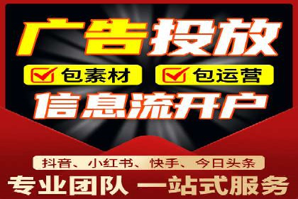 SEM外包服务应用案例分析
